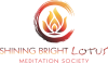 Shining Bright Lotus